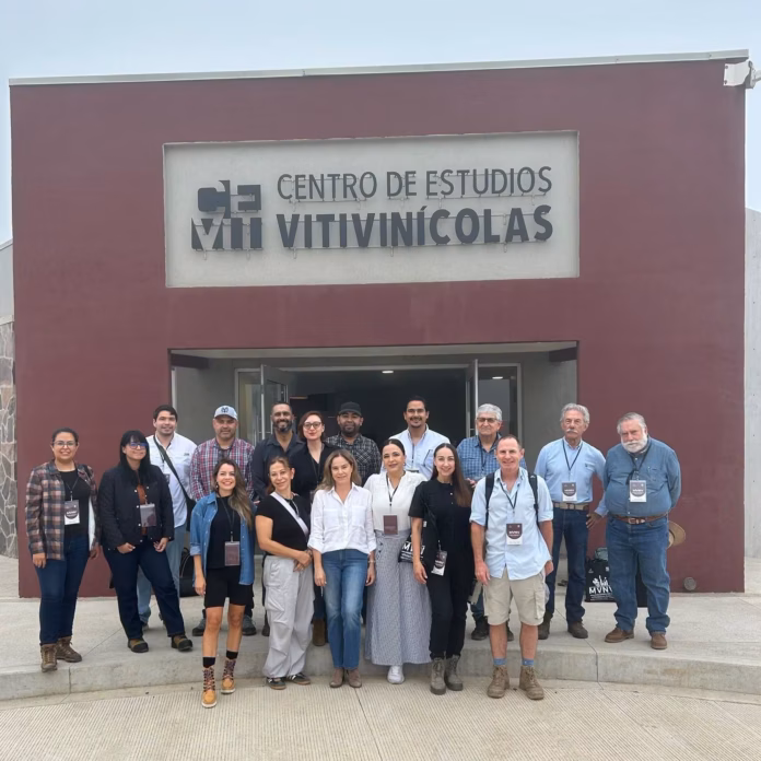 La maestría del Cevit convierte al Valle de Guadalupe en laboratorio para formar perfiles del vino